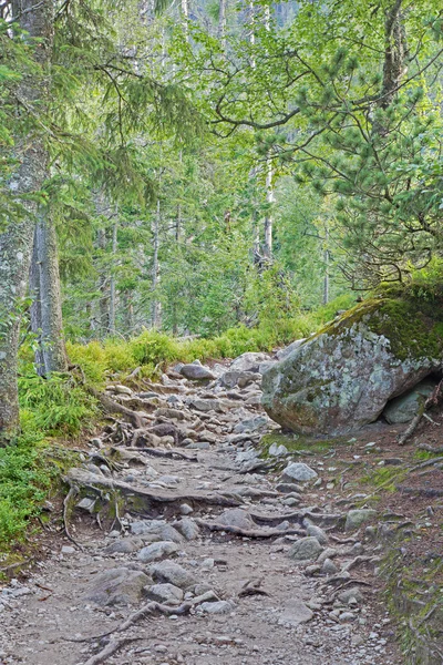 foothpath Yüksek Tatras dağlarda - Slovakya