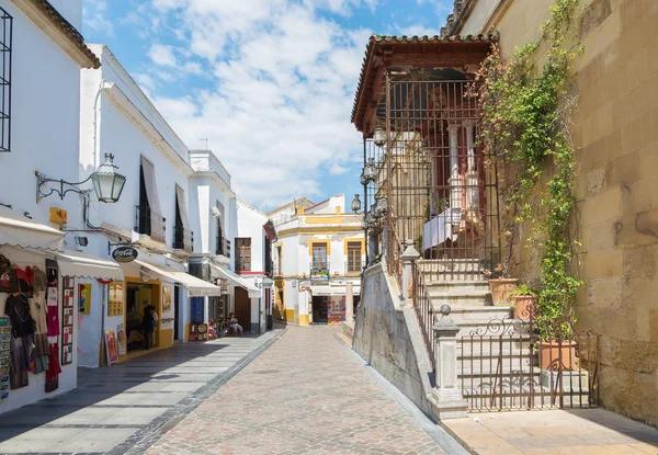 CORDOBA, ESPAÑA - 256 DE MAYO DE 2015: La calle junto a las murallas de la Catedral . — Foto de Stock