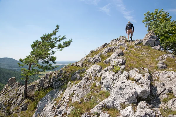 Der Mann auf dem Gipfel des Felsens beim Trekking — Stockfoto