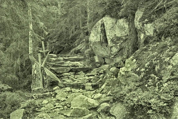 Sentier pédestre dans les montagnes des Hautes Tatras Slovaquie — Photo