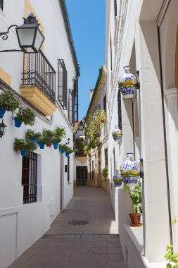 Cordoba - The beautiful decorated aisle in the centre of old town near the Cathedral.