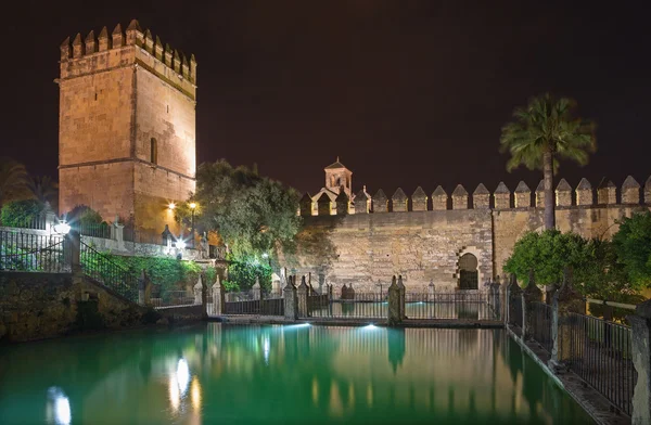 CORDOBA, SPAGNA - 25 MAGGIO 2015: I giardini del castello Alcazar de los Reyes Cristianos di notte . — Foto Stock
