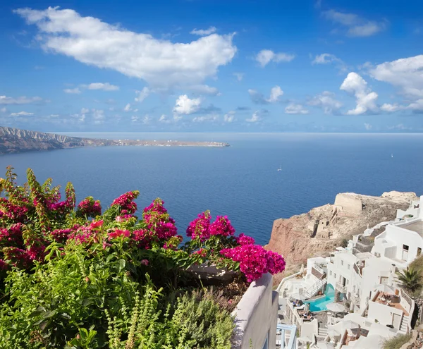 Santorini - La flor sobre los resorts de Oia. —  Fotos de Stock