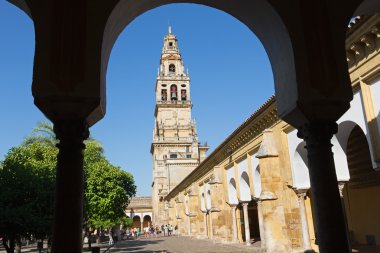 Cordoba, İspanya - 28 Mayıs 2015: The Cathedral kuleden portakal ağacı avlu.