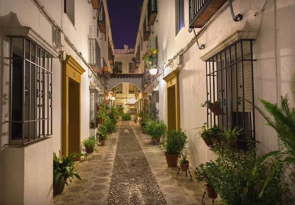 Cordoba - Lorong indah yang dihiasi di pusat kota tua pada malam hari — Stok Foto