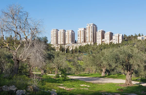 Jerusalem - Emek HaMatsleva - Rehavia Park and modern residencial buildings. — Stock Photo, Image