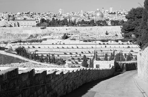 Jerusalém - Perspectiva do Monte das Oliveiras à cidade velha com o Dom da Rocha, igreja do Redentor, Basílica do Santo Sepulcro e torre do patriarcado latino . — Fotografia de Stock