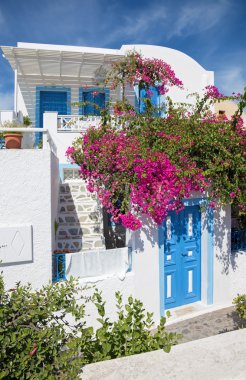Santorini - Oia 'da çiçek açan tipik küçük ev ve bahçe.