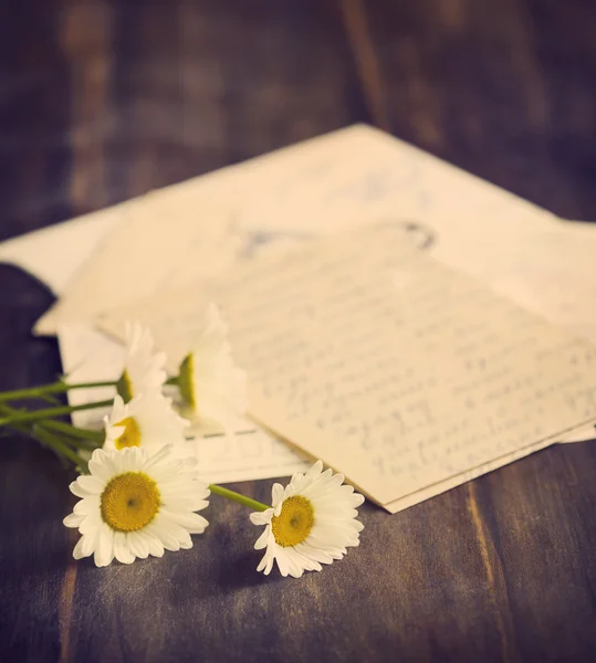 Čerstvý heřmánkový a staré dopisy — Stock fotografie