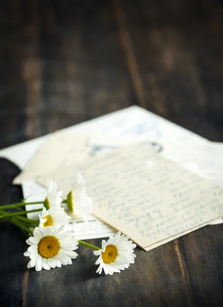 新鲜的洋甘菊和旧信 — 图库照片