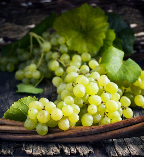 Fresh grapes. Toned image — Stock Photo, Image