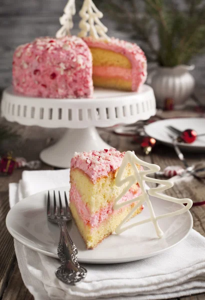 Peppermint ice-cream cake — Stock Photo, Image