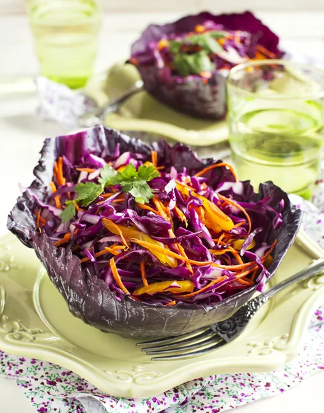 Lahana salatası. Kırmızı lahana, havuç, kırmızı soğan ve kırmızı pancar salatası — Stok fotoğraf