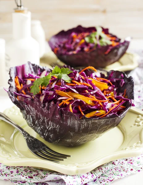 Lahana salatası. Kırmızı lahana, havuç, kırmızı soğan ve kırmızı pancar salatası — Stok fotoğraf