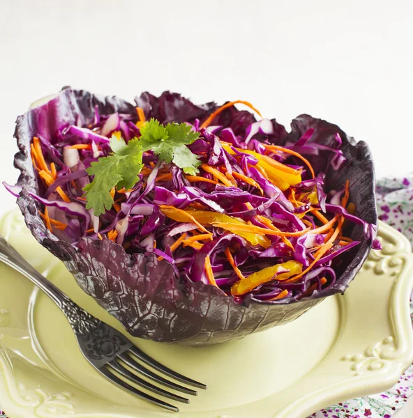 Krautsalat. Salat mit Rotkohl, Karotten, roten Zwiebeln und Roter Bete — Stockfoto