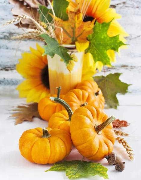 Arrangement aus Kürbis und Blumen — Stockfoto