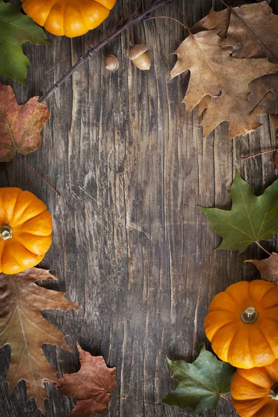 Herfst bladeren en pompoenen op de houten achtergrond — Stockfoto