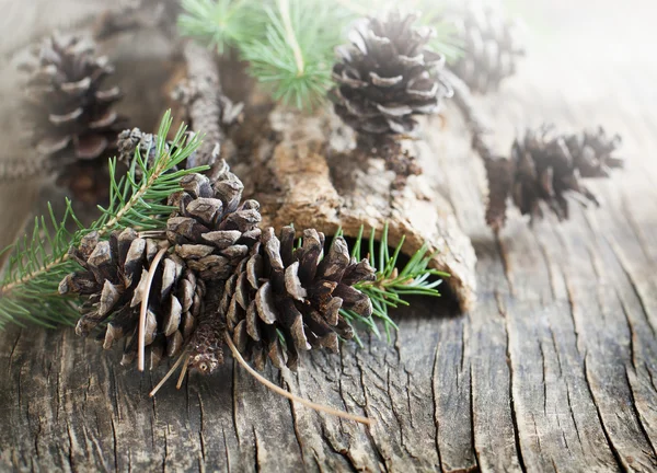 Cones de pinheiro em fundo de madeira. Foco seletivo — Fotografia de Stock