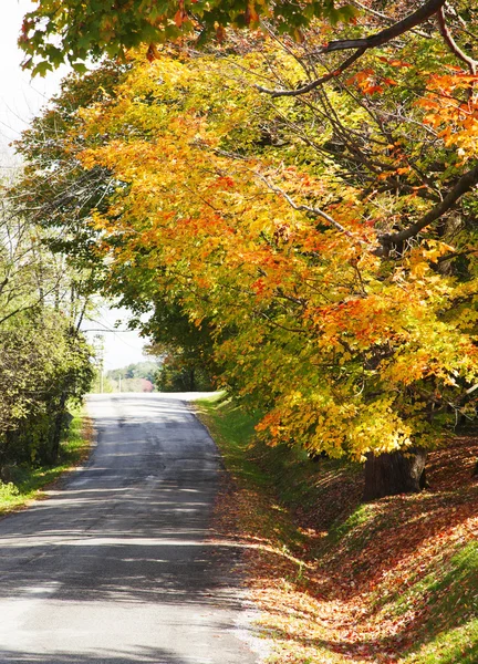 Podzimní krajina se silnicí a krásné barevné stromy — Stock fotografie