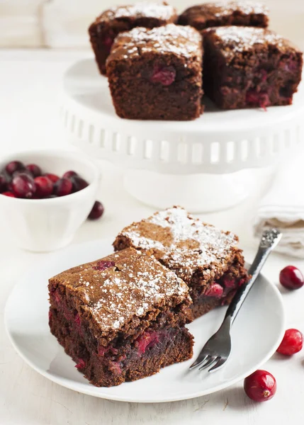 Zelfgemaakte brownie met veenbessen — Stockfoto