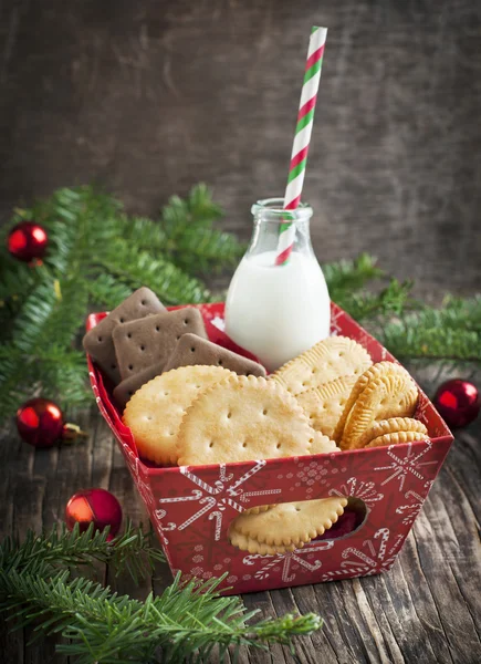 Láhev mléka a soubory cookie — Stockfoto
