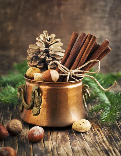 Christmas stilleben: kanel, nötter och Gran grenar — Stockfoto