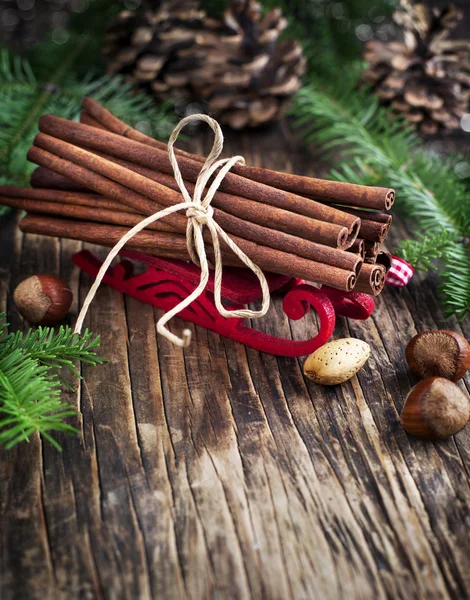 Christmas stilleben: kanel, nötter och Gran grenar — Stockfoto