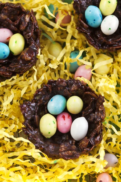 Chocolate nest — Stock Photo, Image