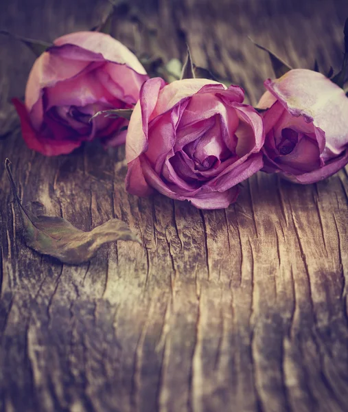 Tørre rosa roser på trebakgrunn – stockfoto