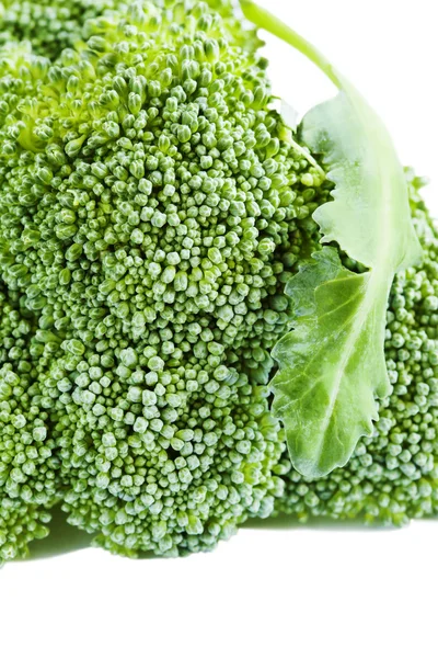 Fresh broccoli closeup — Stock Photo, Image