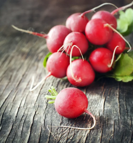 Bunch of fresh radish. — Stock Photo, Image