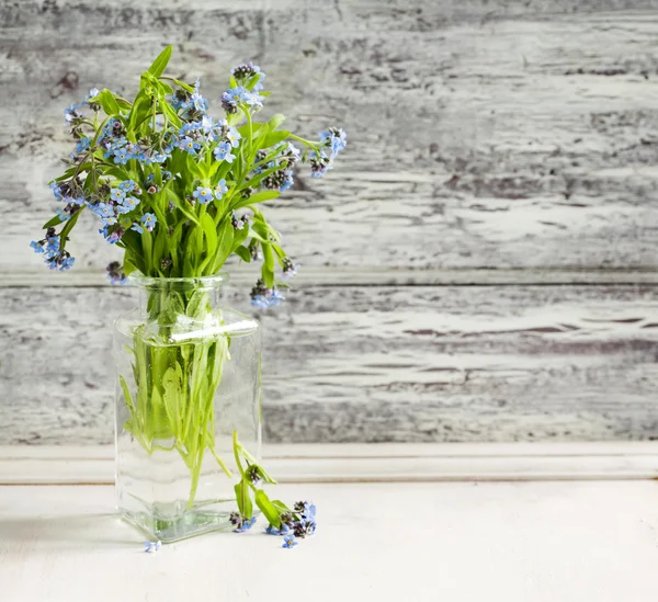 Bouquet of blue wild forget-me-not flowers — Stock Photo, Image