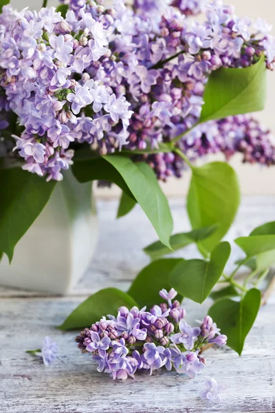 紫色丁香的花束。选择性焦点 — 图库照片