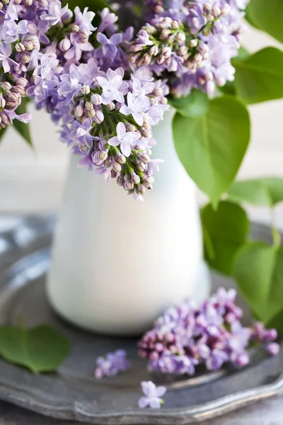 紫色丁香的花束。选择性焦点 — 图库照片