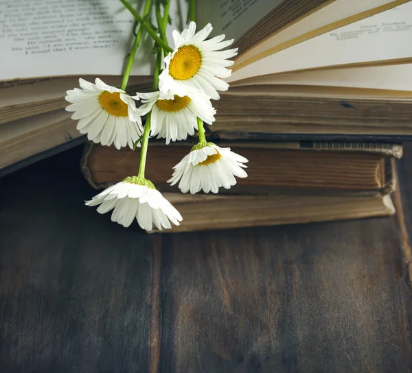 Vintage books and chamomiles on wooden background — Stock Photo, Image