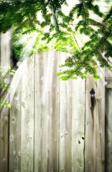 오래 된 목조 문 정원에서. 여름 배경. — 스톡 사진