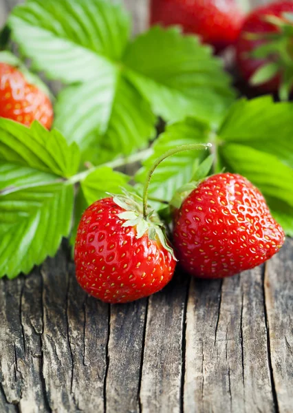 신선한 유기농 딸기 — 스톡 사진