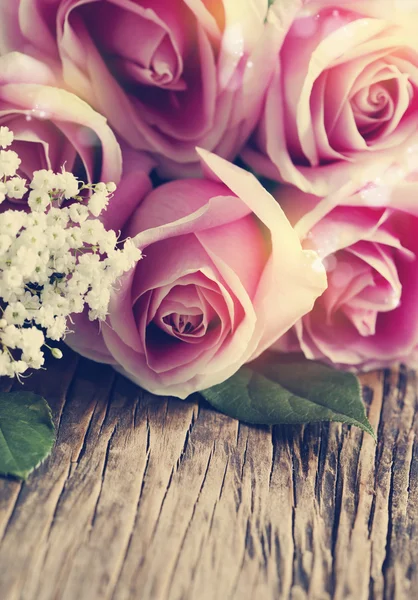 Pink roses. — Stock Photo, Image