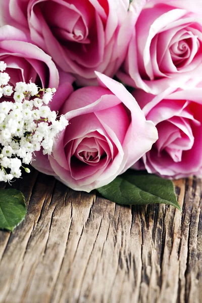 Rosas cor de rosa . — Fotografia de Stock