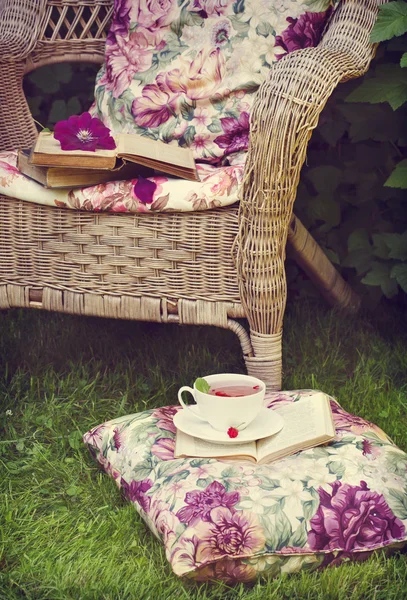 Taza de té de frambuesa y libro en una silla . — Foto de Stock