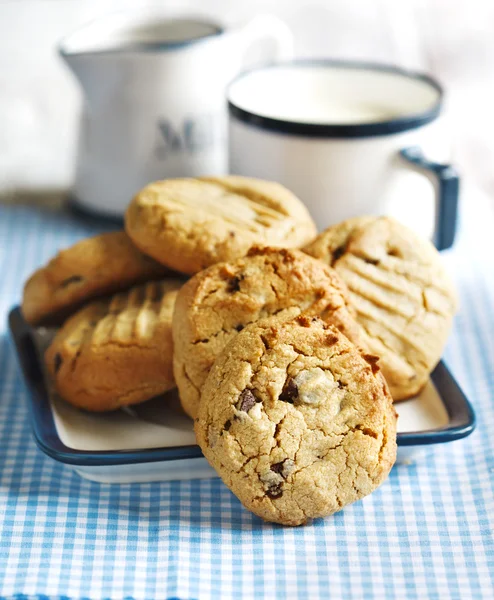 Peanut butter cookies with chocolate chips — Stock Photo, Image