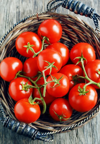 Čerstvá rajčata v košíku — Stock fotografie