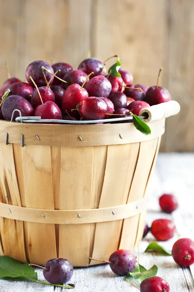 Crab apple in basket — Stock Photo, Image