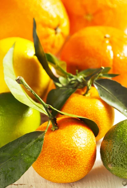 Verse citrusvruchten met bladeren — Stockfoto