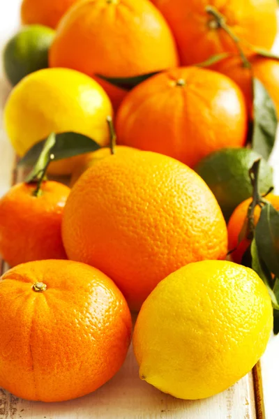 Čerstvé citrusové plody s listy — Stock fotografie