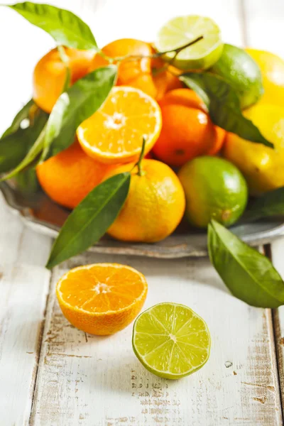 Friss citrusfélék, a levelek — Stock Fotó