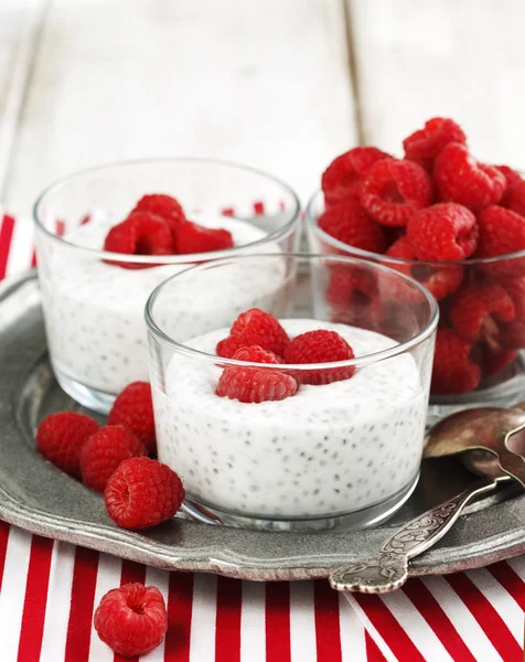 Chia tohum ve sağlıklı breakfa için taze ahududu ile yoğurt — Stok fotoğraf