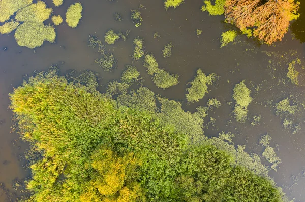 Ποταμός με πράσινο καλάμι αυξάνεται στις πλευρές από εναέρια προοπτική — Φωτογραφία Αρχείου
