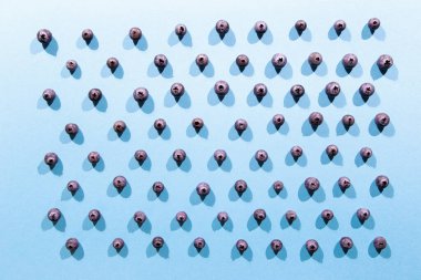 Mavi arka planda sıralanmış taze yaban mersini.