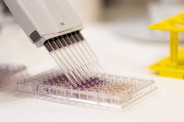 Hastanede çok kanallı pipetle tıbbi araştırma
